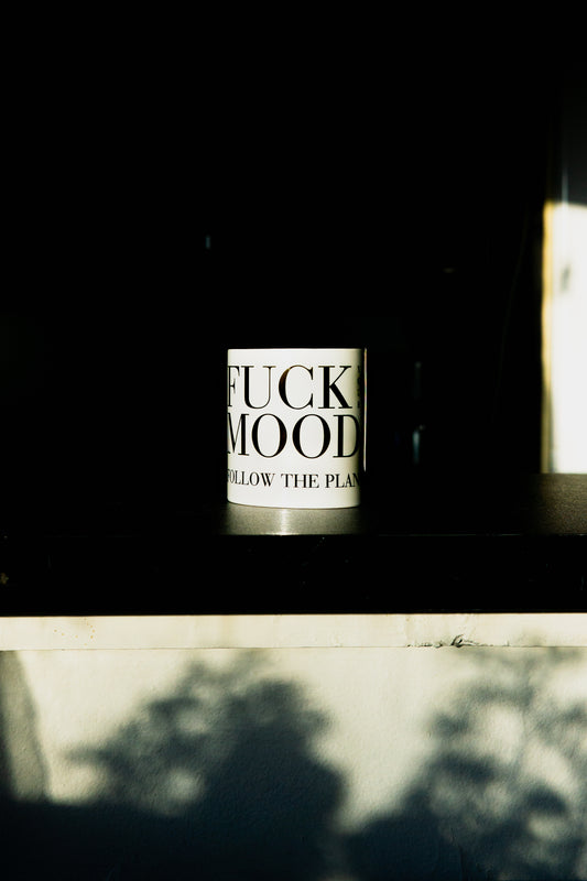 FUCK YOUR MOOD FOLLOW THE PLAN I The mug.